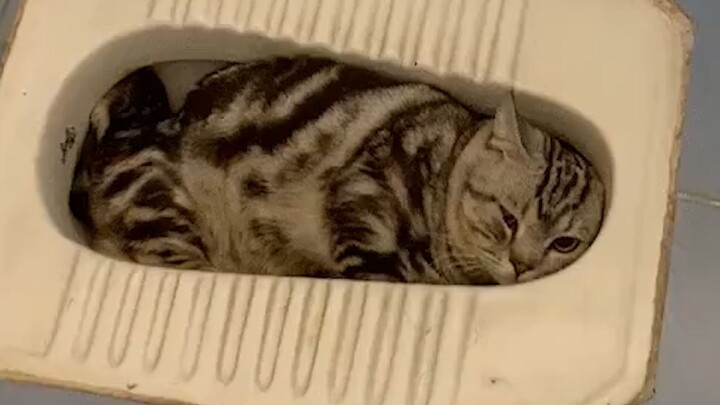 “Panduan untuk Membuat Orang Beralih dari Memelihara Kucing”