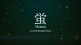 蛍 Hotaru - Fujita Maiko _ 【 Cover by Kanatake Chizu 】