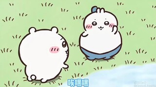 这还是我家小八吗？