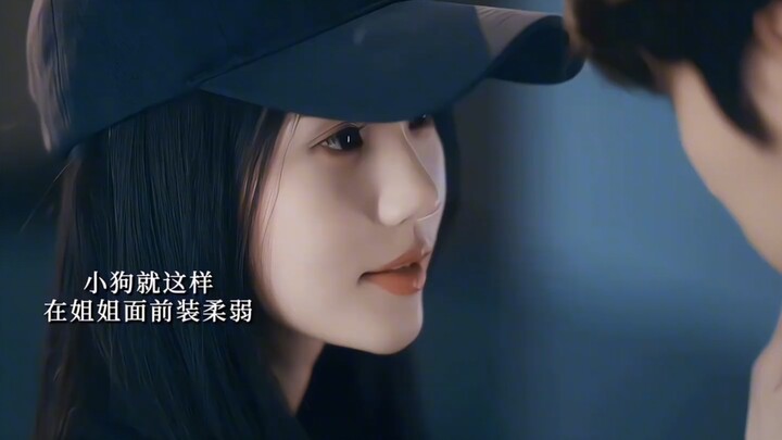 The elder sister was betrayed by her ex-boyfriend, and the handsome, devoted younger brother willing