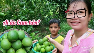#115: Hái chanh, cam vườn nhà mẹ đem về nhà quá xá thích @Tiên Hồ TV