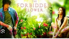 THE FORBIDDEN FLOWER Episode 21 Tagalog Dubbed