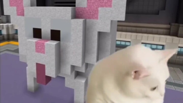 ماينكرافت: بناء سباق القطط!