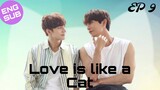 🇰🇷 Love Is like a Cat | HD Episode 9 ~ [English Sub]