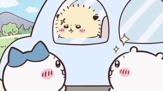 宝宝 上车吗【老登卡哇】