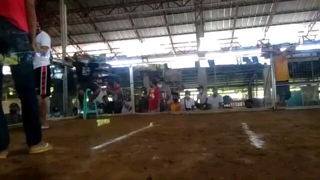 hiraw wins