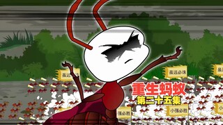 第25集，猪小强冒险救大猫，对无良恶徒发起进攻！