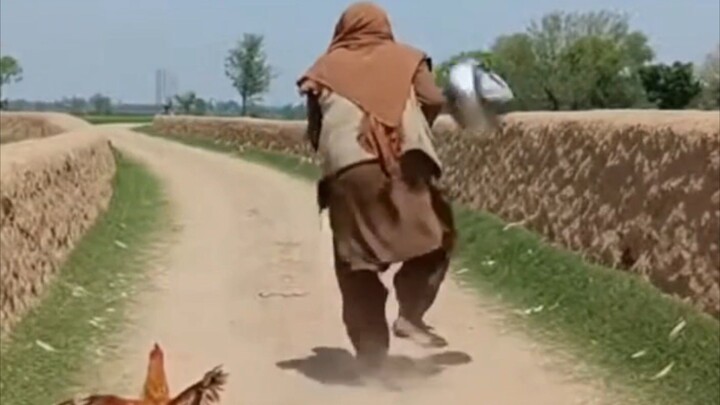funny video