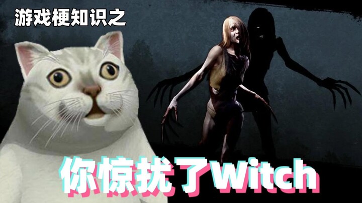 Gaming meme knowledge: You've disturbed the Witch