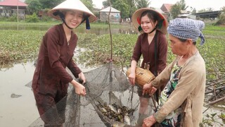 Dỡ Chà Kiếm Cá Những Ngày Cuối Năm |Canh Cua Rau Đay +Cá Sặc Kho Sả Ớt ●Nắng Đẹp Miền Tây | NĐMT# 52