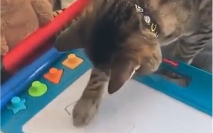 Cat: Wow! This is some black-tech stuff, isn’t it!