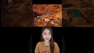SEMUT RAKSASA MENGAMUK NGERI BANGET ⁉️😱