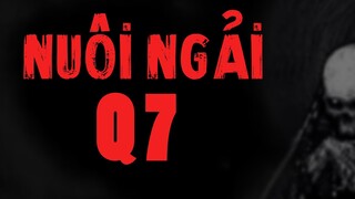 TẬP 709. NUÔI NGẢI Q7