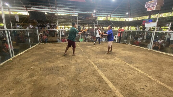 2.2m final 5cock derby (win) 3rd fight