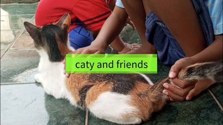 cat and child