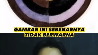 Ilusi mata yang sangat membangong kan