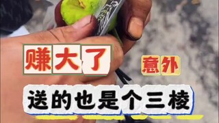 Dua tarik satu, plus kejutan tak terduga!