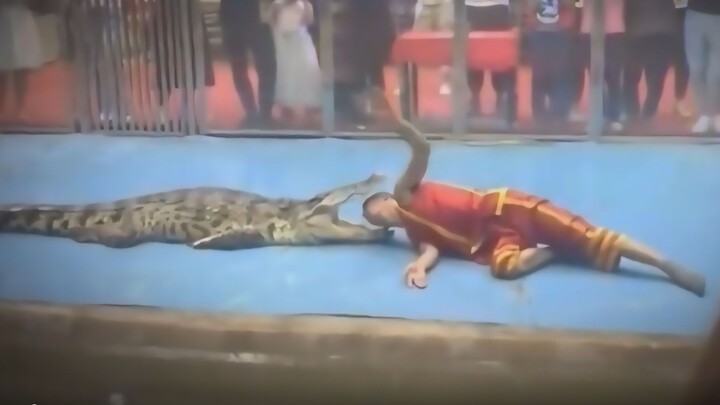 "Thò đầu ra là bị tiêu diệt ngay"