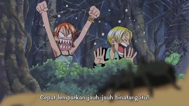 Hal yang paling ditakuti Sanji