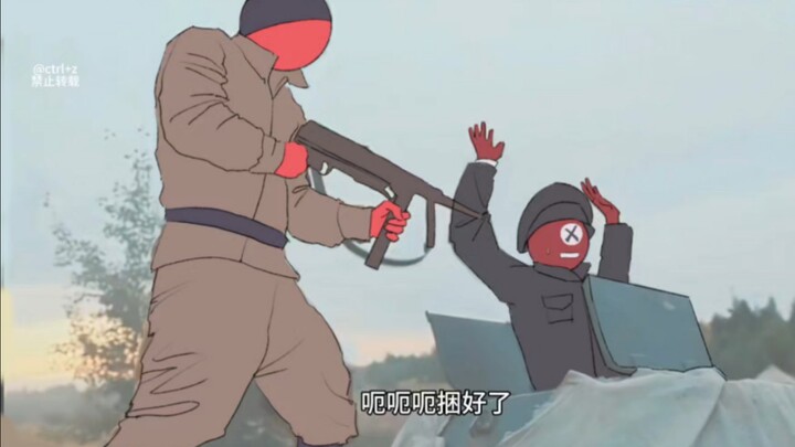 【ch苏】德国的鸟你不得了！（笔记）