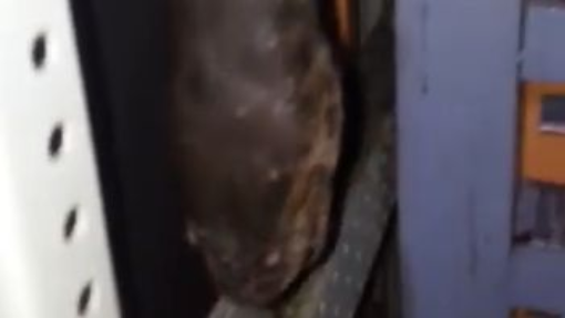 switchboard for brazil