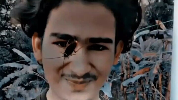 tiktokio.com1788811614_snUX5z5TVcvyu7NuT2Bz