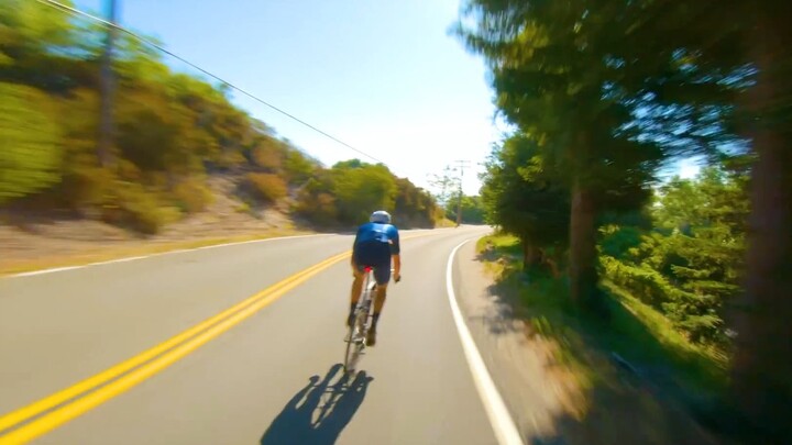 “Bởi vì trong lòng bạn có một người hoàn hảo, nên nhìn ai cũng thấy thiếu chút gì đó.”