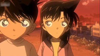 In fact, Xiaolan already knew that Conan was Kudo Shinichi