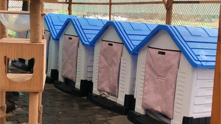 Kamar Asrama 404 Punya Banyak Musuh ya?