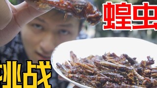 挑战四大害虫之一蝗虫！这应该是最好吃的最惨的害虫了！