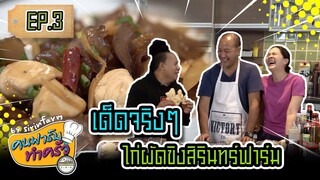 เด็ดจริงๆไก่ผัดขิงสิรินทร์ฟาร์ม (Chicken Breast and Ginger Stir Fry Recipe) - [ คนฟาร์มทำครัว ] EP.3