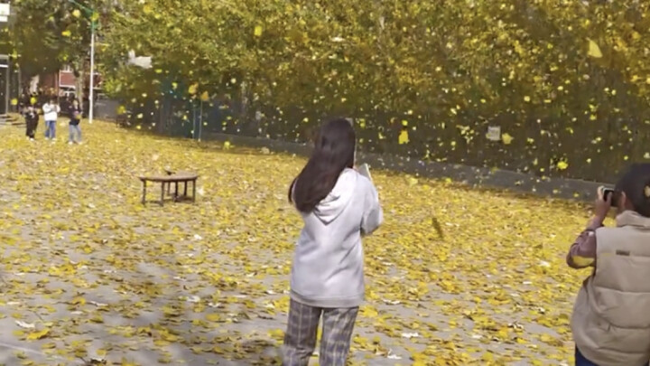 “The wind picks up again, leaves fall to the ground—my longing grows even deeper~”