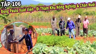 (Tập 106) Nông Nghiệp VIỆT NAM ở Châu Phi || Sự Trở Lại Của Bộ Đôi Đông Paulo và Hùng KaKa