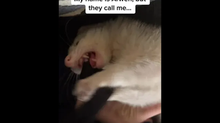 เคยเห็นตอนเรามีแฟนยัง ถ้ายังไม่เคย ก็มาเป็นแฟนเรา😘