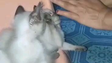 hi5 🖐️ volt