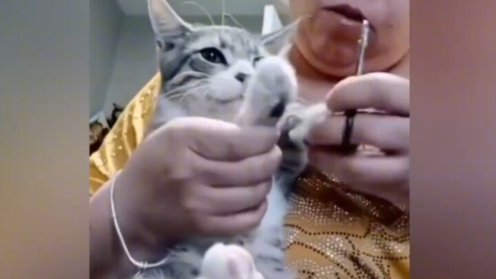 كاتكات: ضعيفة، مسكينة، عاجزة