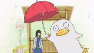 [ Gintama / Katsura Kotaro Elizabeth] There is always a silly figure beside Zila