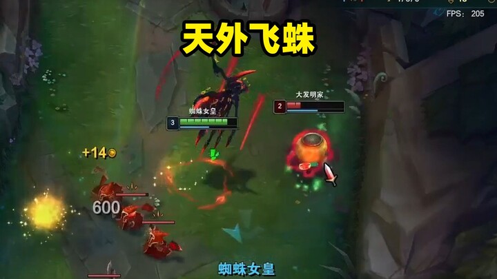 【ขนมปังแมงมุม】หมูบินมาจากฟากฟ้า!