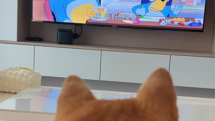 My doggy son actually likes watching TV!