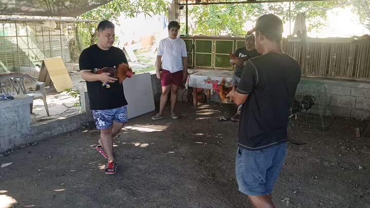 Both 6mos - Learning process