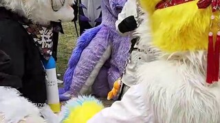 Beasts fighting? Who is Binggao targeting this time?