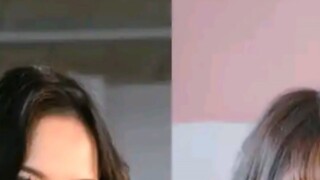 About Red-bellied Sister