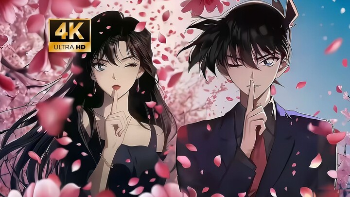 Chia sẻ hình nền động 4K của Kudo Shinichi và Mao Lilan dưới gốc cây hoa anh đào