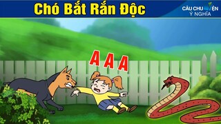 Phim Hoạt Hình - CHÓ BẮT RẮN ĐỘC ► Truyện Cổ Tích | Khoảnh Khắc Kỳ Diệu 2020 | Phim Hay 2020