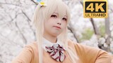 Menonton Bunga Sakura dengan Kakek | Genshin Impact · Ying cos | 4K