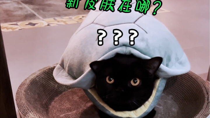 Black Cat’s new skin… Hahaha!