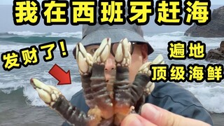 Raih jackpot besar! Tangkap hidangan laut terbaik di Spanyol! Rasanya tak akan cukup!