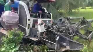 Máy Cắt Lúa Sóc Trăng Xuống Kiên Giang l Máy Gặt Đập Liên Hợp