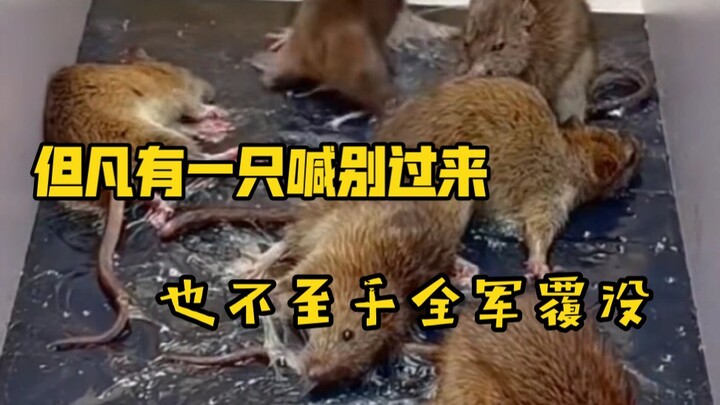 If even just one had shouted "Don't come over," the entire force wouldn't have been wiped out.