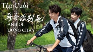 Anh Ơi Đừng Chạy - Tập 24 (Tập Cuối) | Vietsub